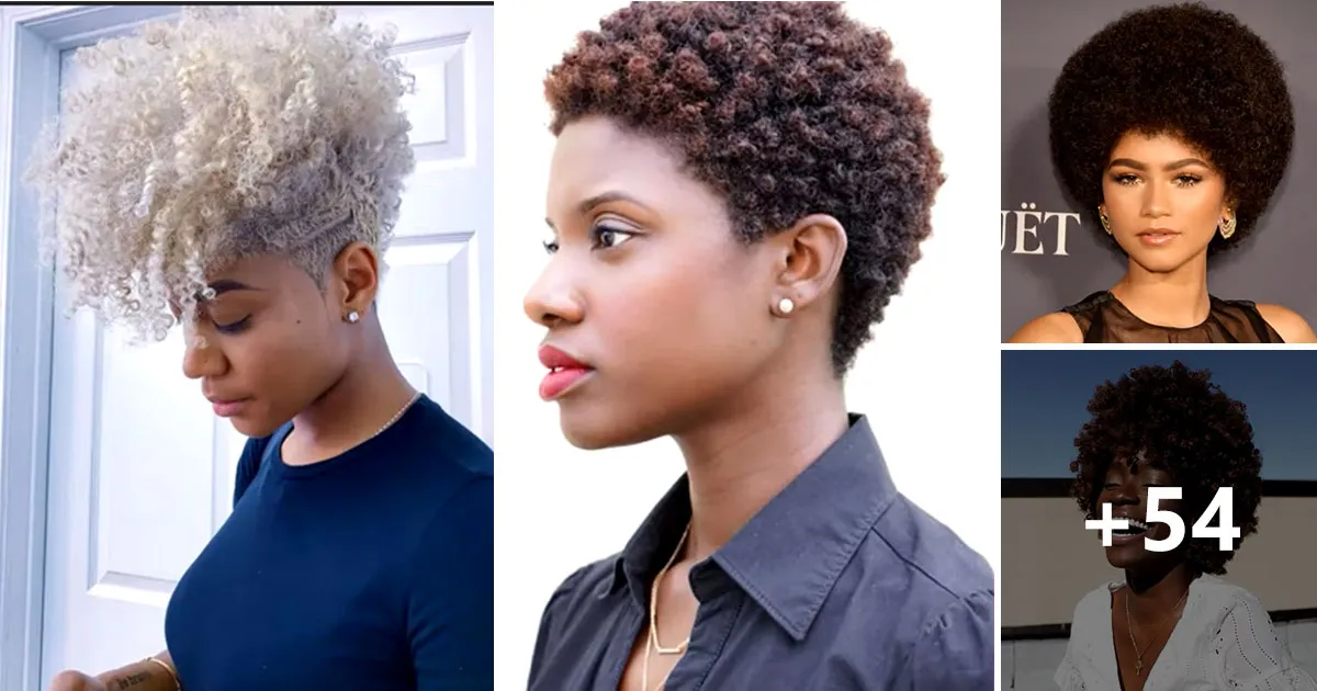 57 Cortes Femininos Para Cabelo Crespo ou Afro