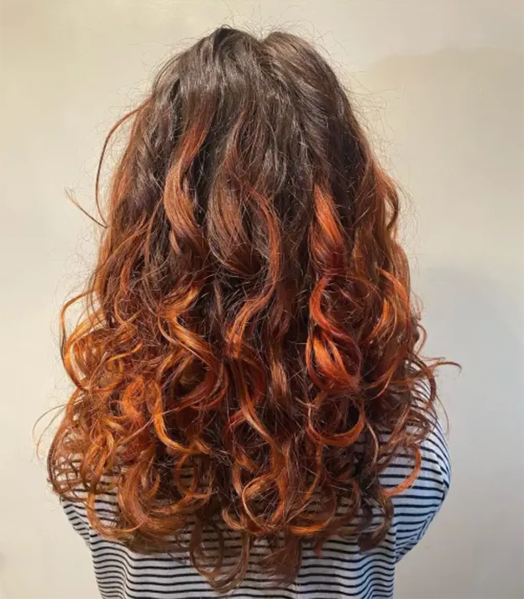 Inspirações para Cabelo Cacheado com Luzes