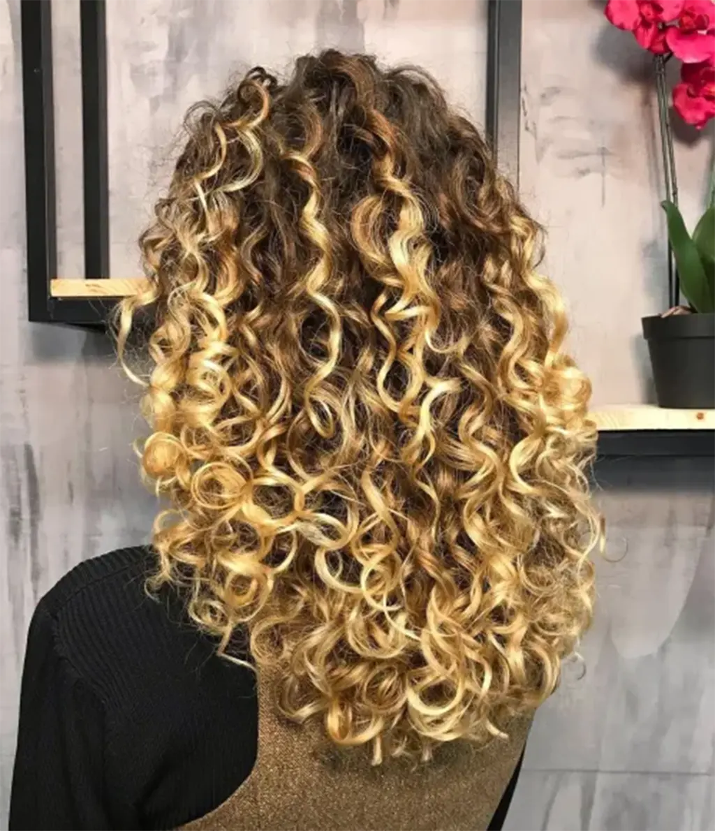 Inspirações para Cabelo Cacheado com Luzes